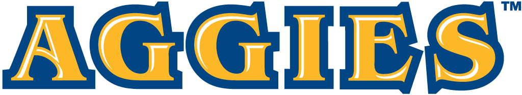 North Carolina A&T Aggies 2006-Pres Wordmark Logo diy iron on heat transfer
